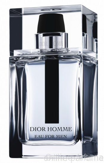 Dior Homme Eau for Men 100 мл